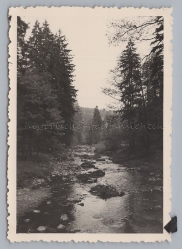 Pöhl triebtal 1957 bach - 1957,