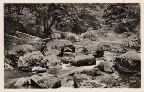 Postkarte triebtal - -, /