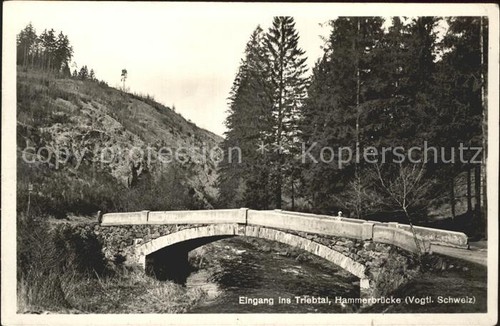 Vogtland region triebtal - region,