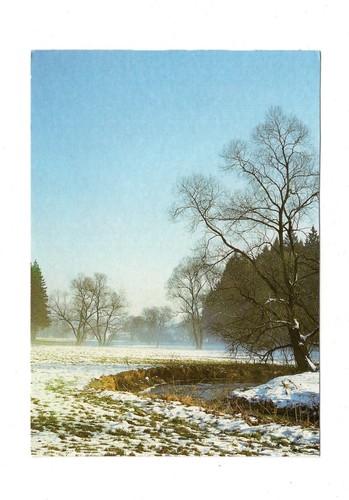 Ansichtskarte triebtal - im,