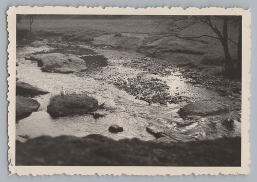 Pöhl triebtal 1957 bachlauf - pöhl,