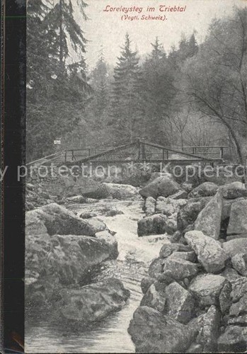 Jocketa loreleysteg - jocketa, im