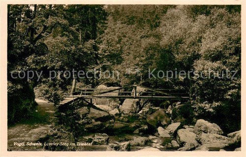 Plauen vogtland loreley steg - plauen,