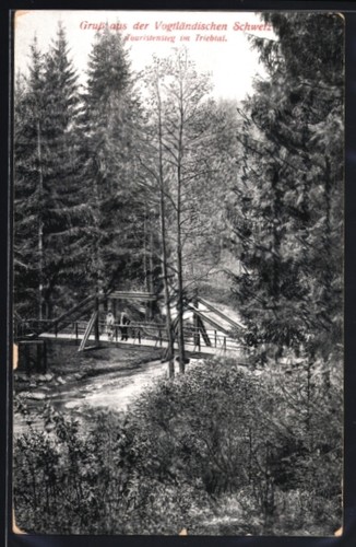 Triebtal vogtländische - ak,