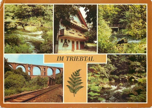 Triebtal jocketa - triebtal,