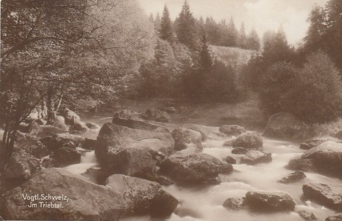 Vogtl schweiz im - schweiz,, triebtal