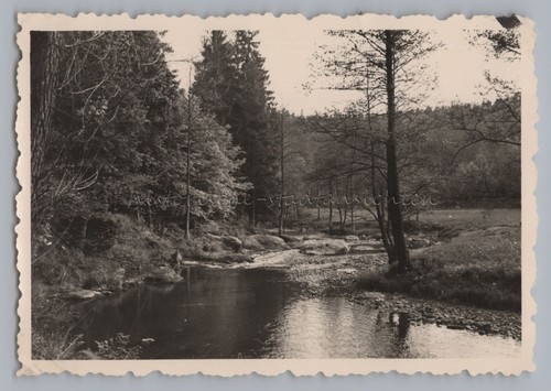 Pöhl triebtal 1957 - triebtal, bachlauf