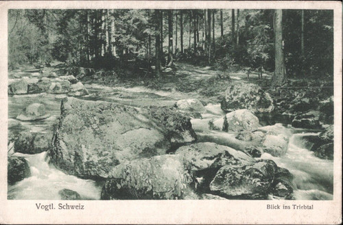 Vogtl schweiz blick ins - vogtl., ,