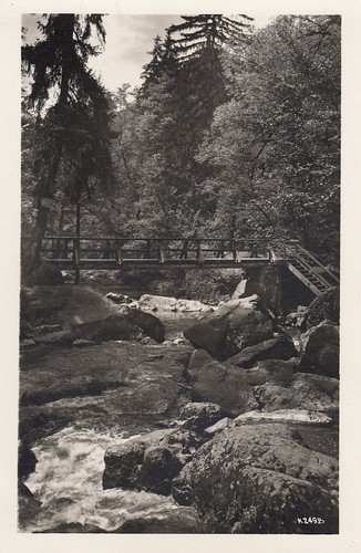 Vogtl schweiz im triebtal - vogtl.,