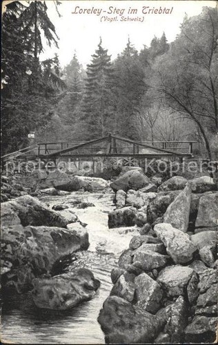 Jocketa loreleysteg - jocketa, im