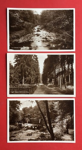 Foto ak vogtländische - x,