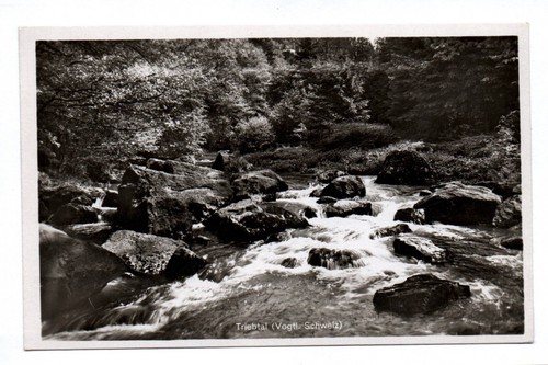 Foto triebtal - foto,