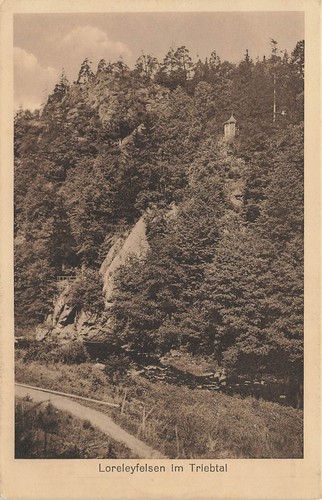 003502 loreleyfelsen im - ak,