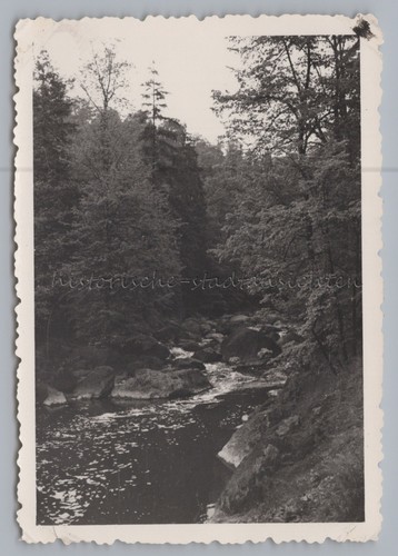 Pöhl triebtal 1957 - triebtal,