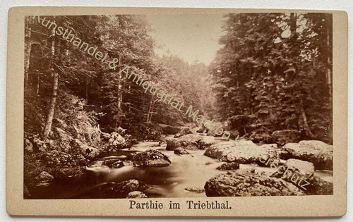 Orig foto fotografie 1870 - fotografie,